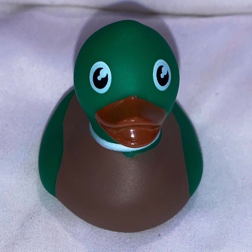 Green and Brown Rubber Duck